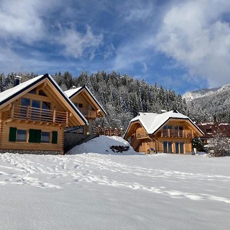 Chalet Camporosso Rosenstein Экстерьер фото